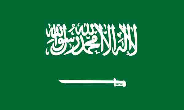 LCL shipping from China to Saudi Arabia