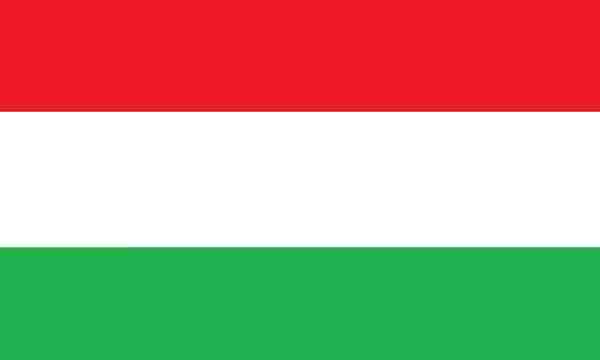 LCL Shipping From China To Hungary