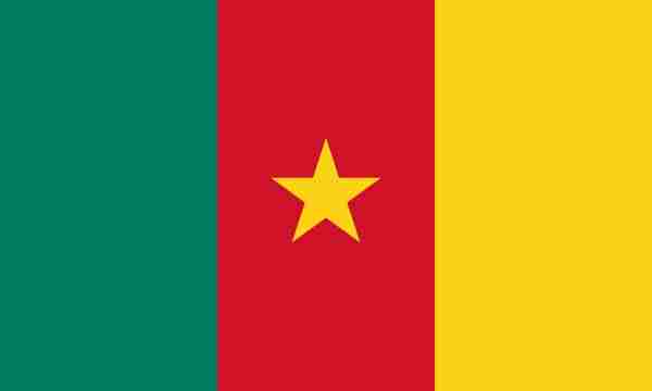 LCL shipping from China to Cameroon